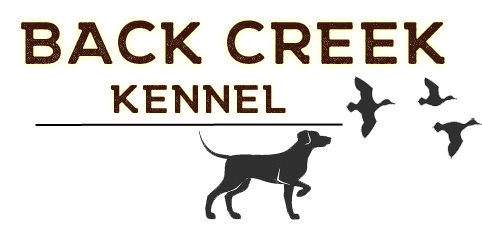 Back Creek Kennel